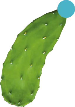 Kaktusiak