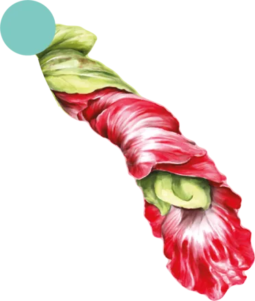 Kwiatki Płatki