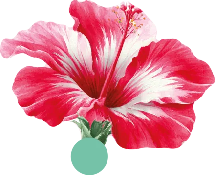 Hibiskusowa głowa