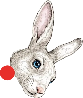 Buźka Białego Królika